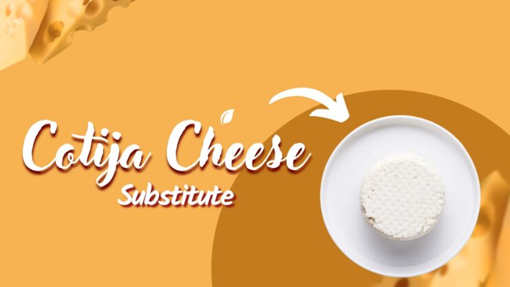 Cotija-Cheese-Substitute-1