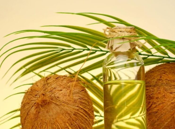 Oil of coconut