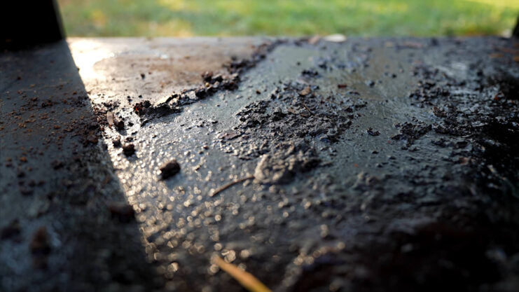 Traeger paint clearance