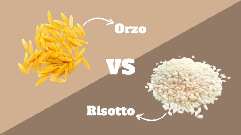 Orzo and Risotto Comparison